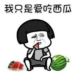 娱乐吃瓜用的音乐叫什么